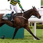 best horse to bet on grand national